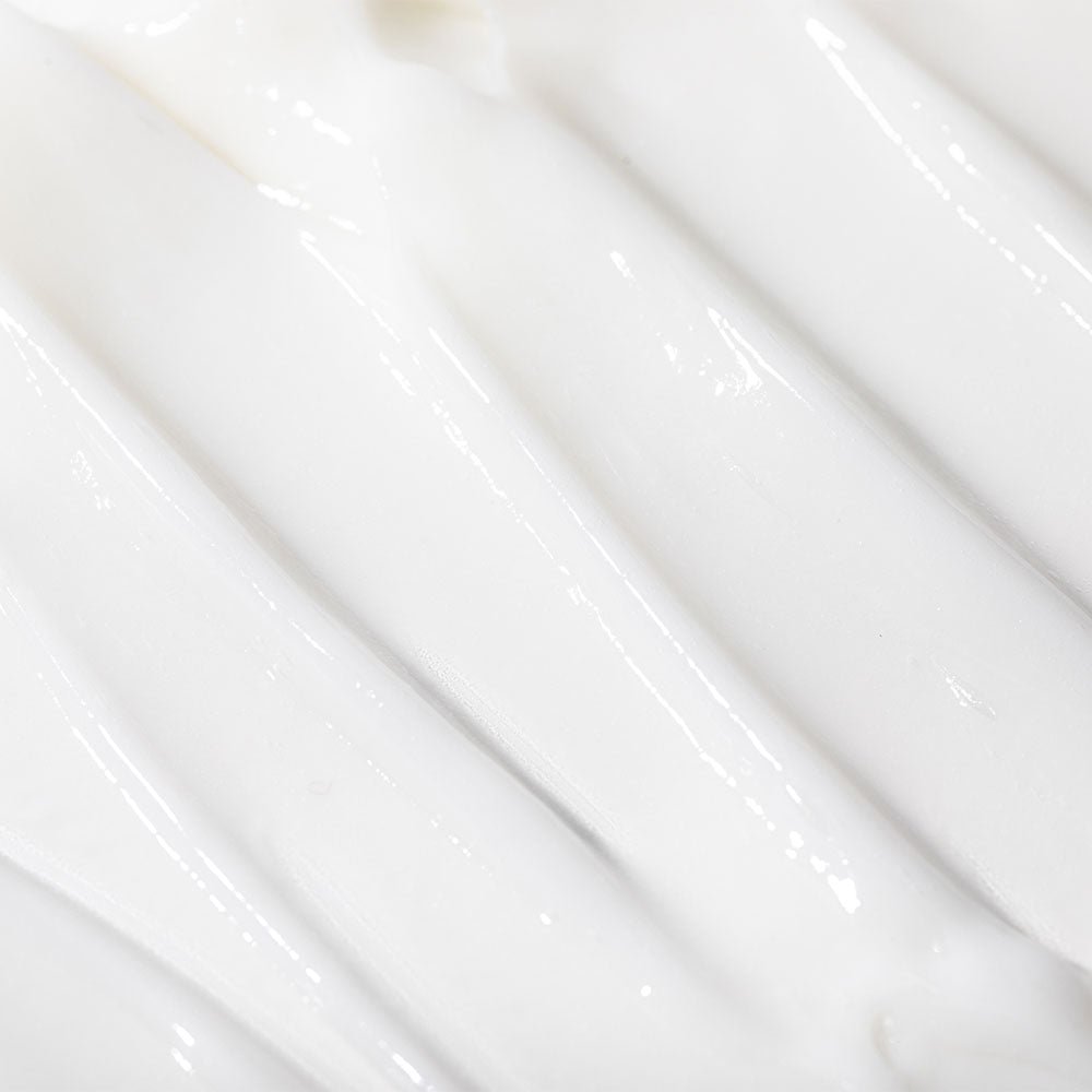 Timeless Moisturiser with Prickly Pear - Image 4